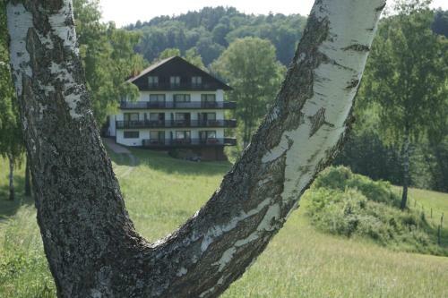 Hotel Birkenhof