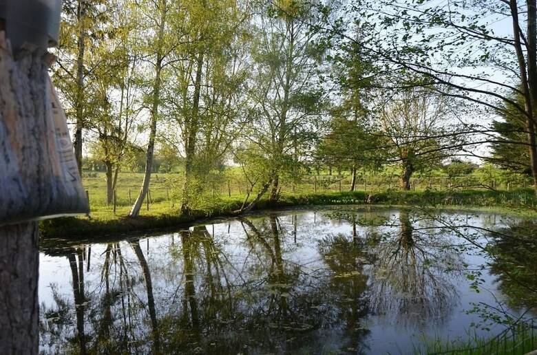 Bed & Breakfast Le Moulin De Charin