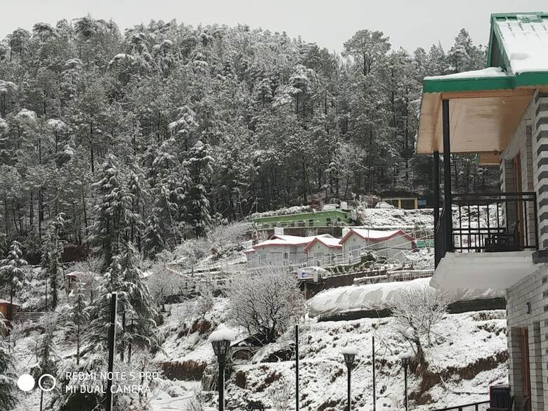Hotel Mountain View Resort