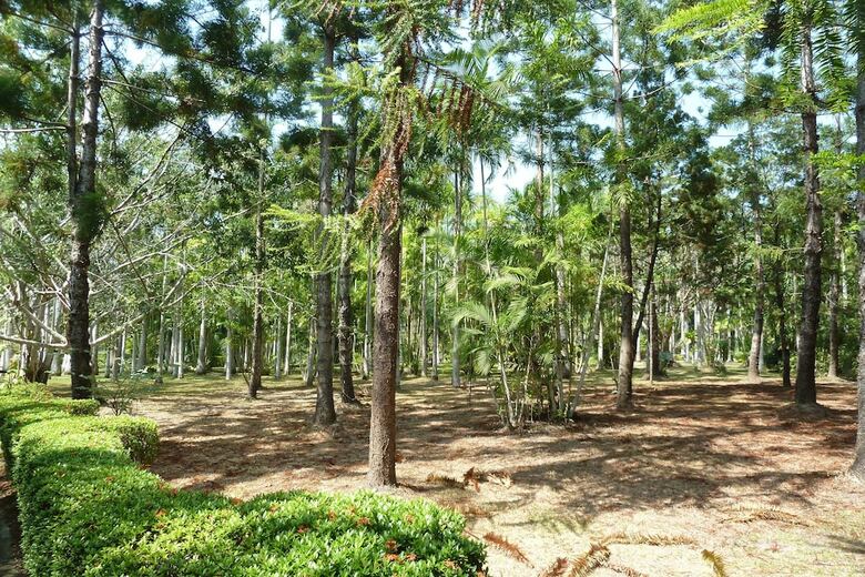 Hotel Hilton Port Moresby