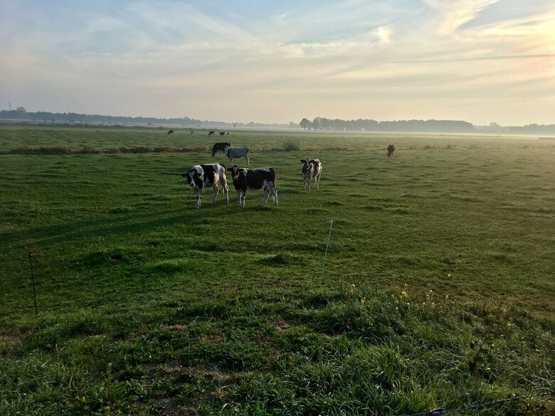 Bed & Breakfast Hotel Watertoren Lutten