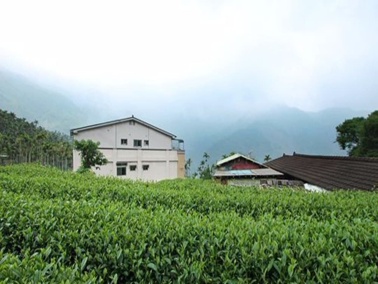 Hotel Deren Tea Garden B&B
