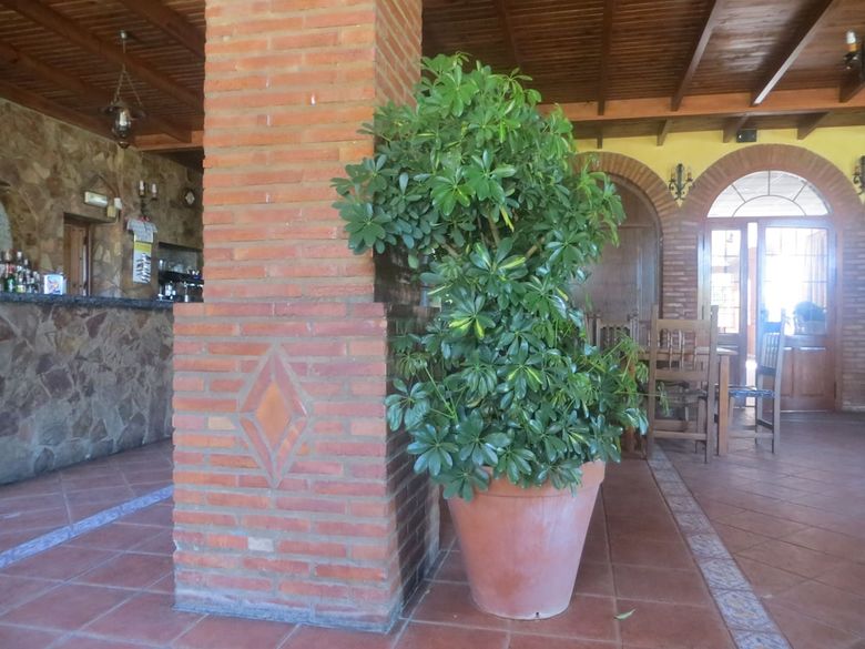 Hostal Restaurante Campo Abierto