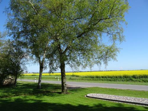 Hostal G�stezimmer & Appartement Elskop