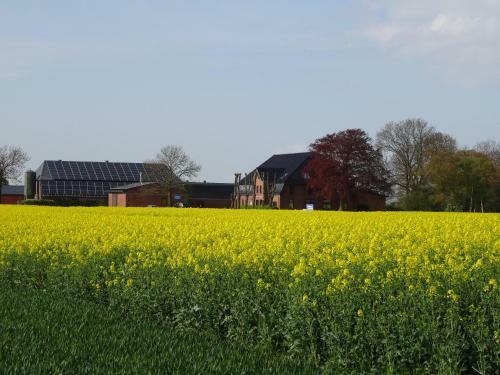 Hostal G�stezimmer & Appartement Elskop