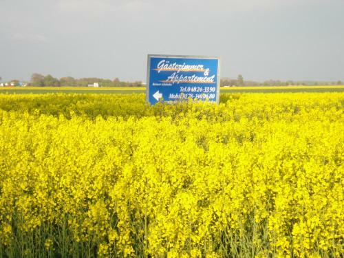 Hostal G�stezimmer & Appartement Elskop