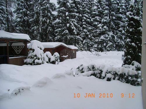 Apartamento Ferienwohnung / Pension Bothe