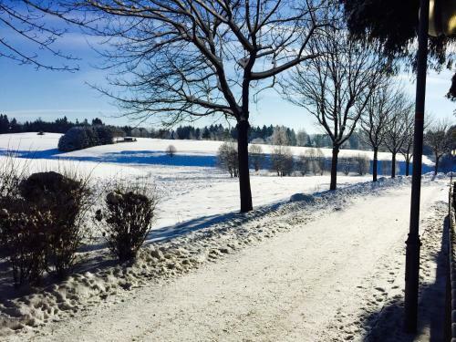 Apartamento Ferienwohnung / Pension Bothe