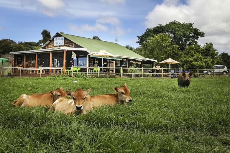 Bed & Breakfast Natures Way