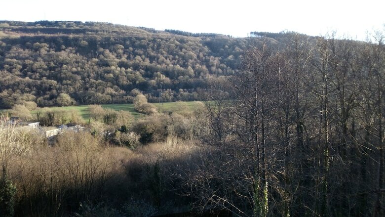 Hotel Cilbrwyn Countryside Retreat