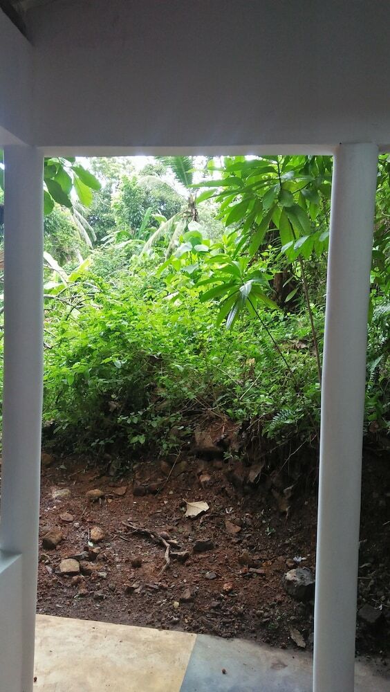 Hotel Jungle House