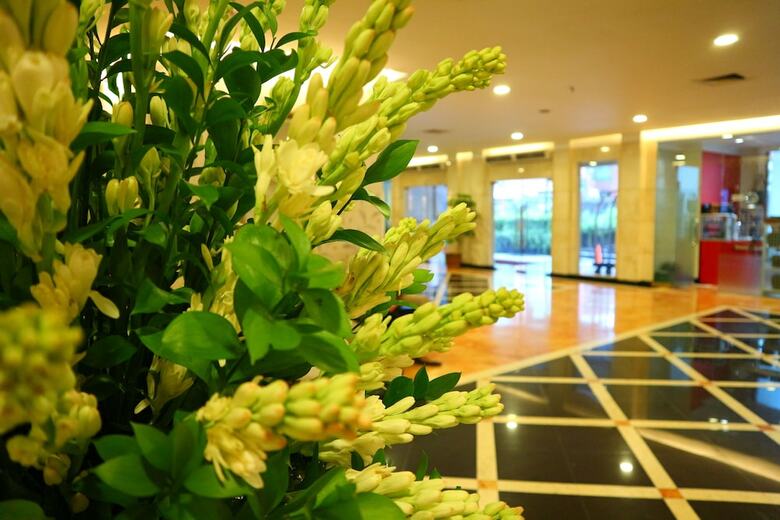 Hotel Arcadia Mangga Dua By Horison