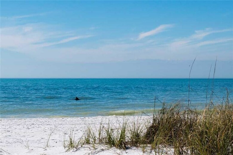 Anna Maria Escape