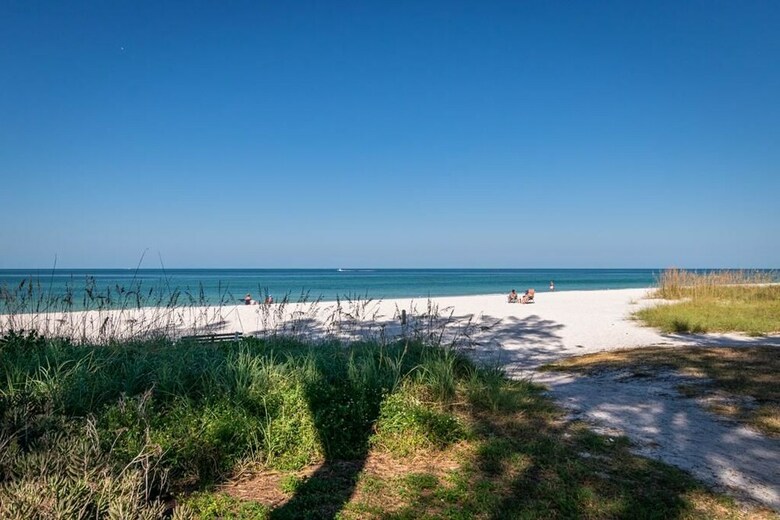 Palm Cay 4