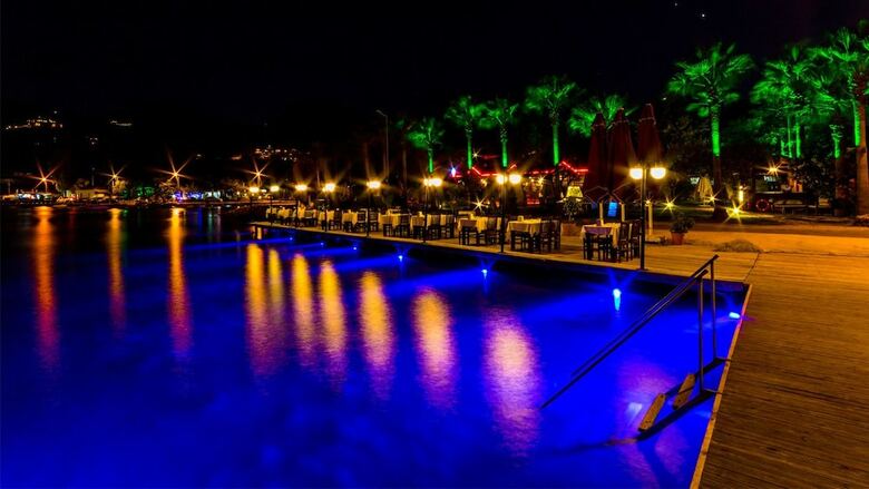 Palmetto Resort Hotel