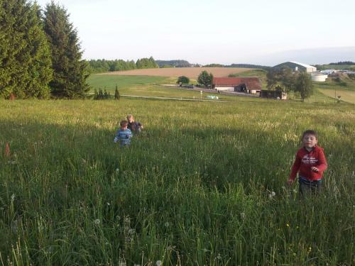 Agroturismo G�stehaus Gr�nberger