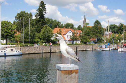 Ostsee Ferienh�user