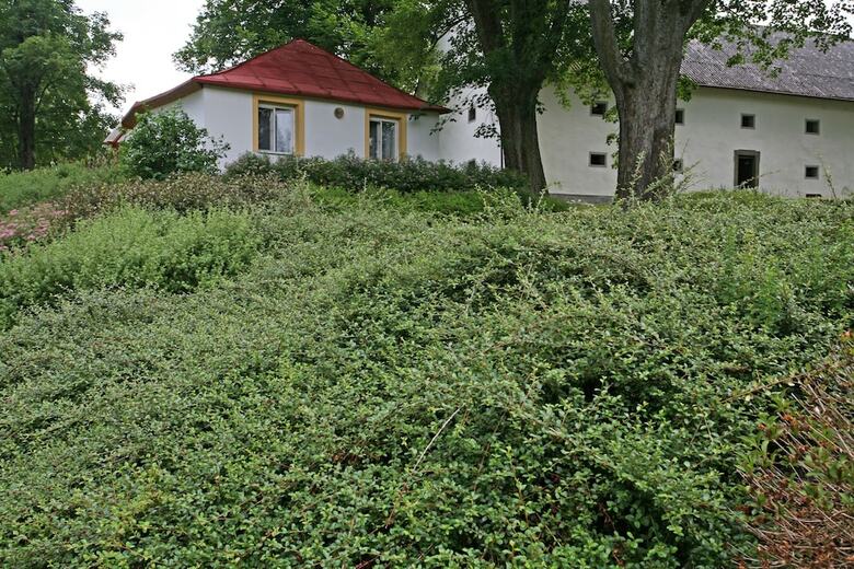 Hotel Zamek Jindrichovice