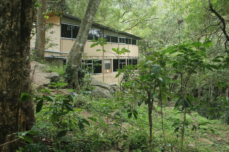 Apartamento Secret Valley Jungle Resort