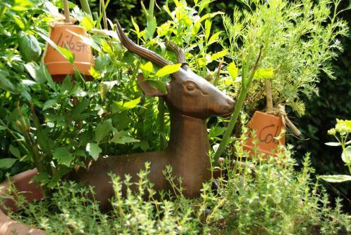 Hostal Landgasthof Zum Hirschen