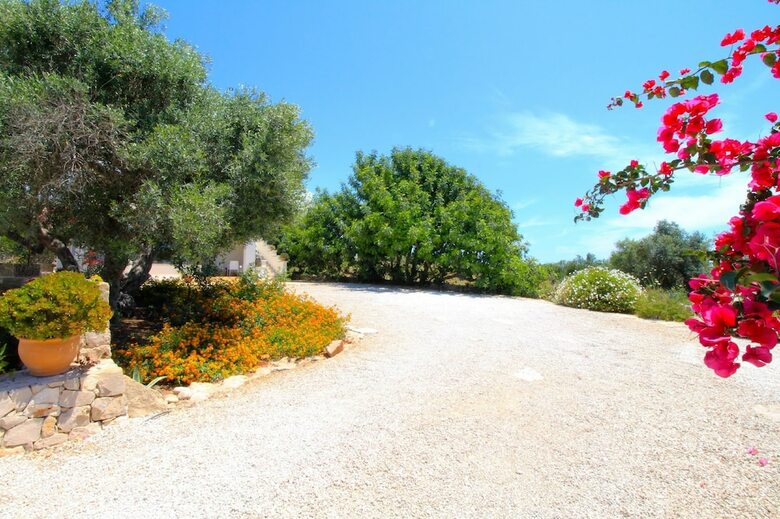 Apartamento Antico Trullo Lovely House