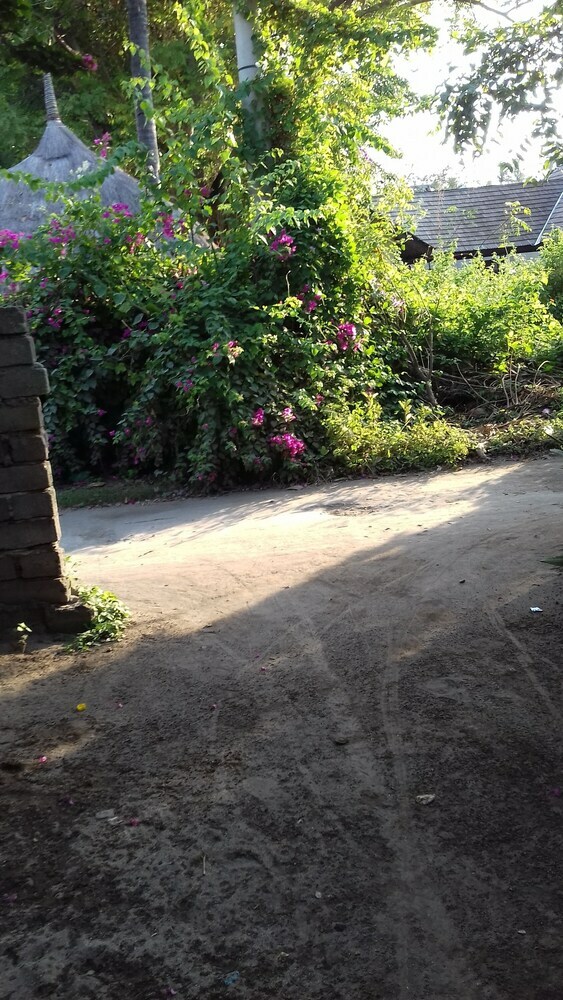 Bed & Breakfast Diyu Bungalow