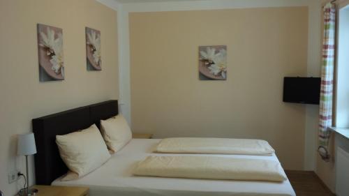 Hostal Pension Delagera