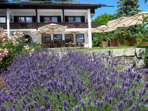 Hostal G�stehaus Seehof