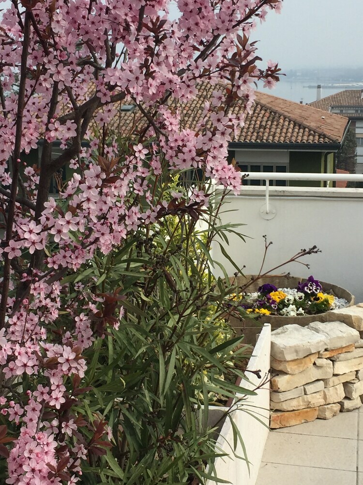 B&B Il Giardino Segreto