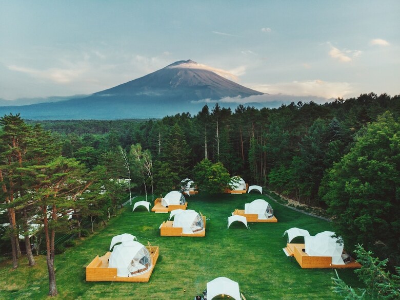 Pica Fujiyama