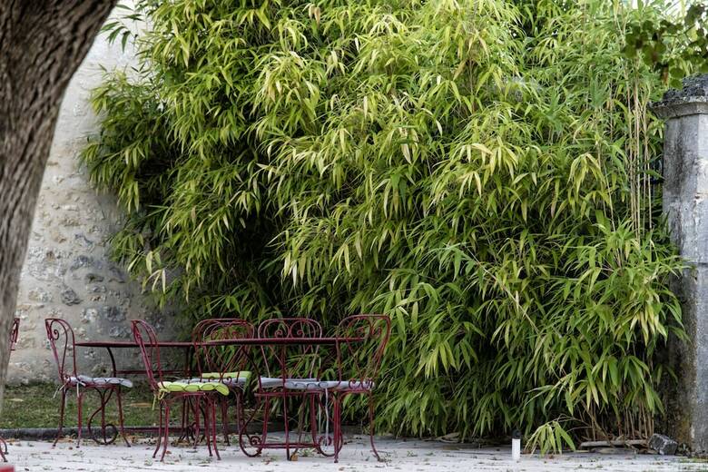 Bed & Breakfast Les Deux Abbesses En Vert