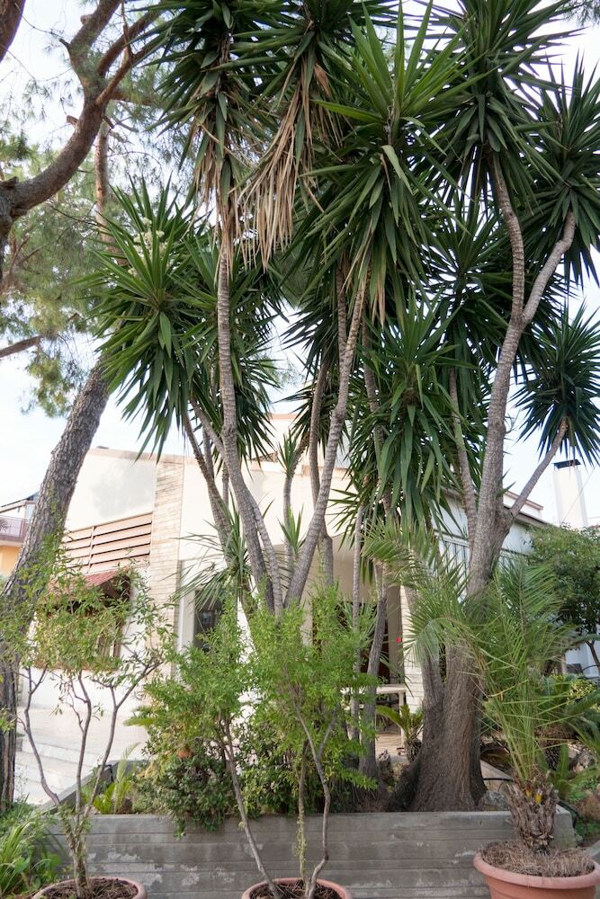 Bed & Breakfast Yucca Camere & Suite