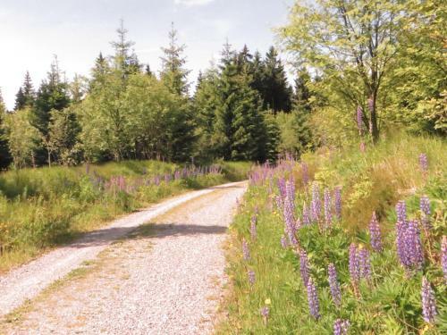 Hostal Pension Talblick