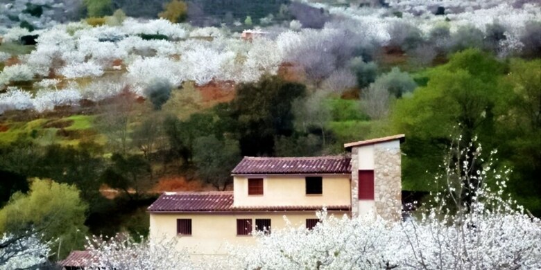 Hotel Casa Rural Molino Del Jerte