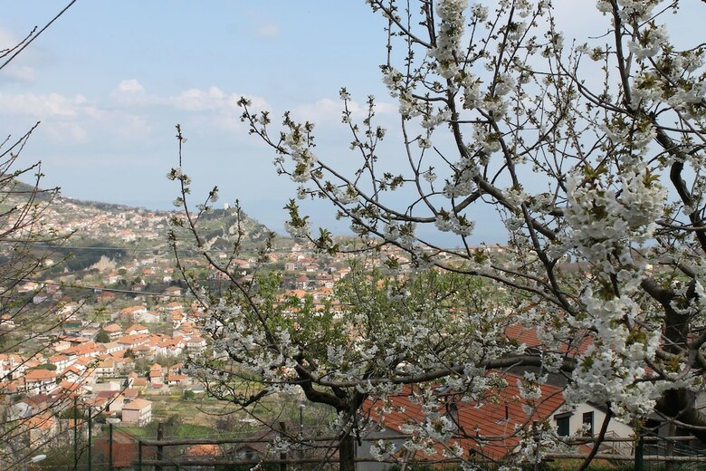 Apartamento Casa Paloma Ospitalit� Diffusa