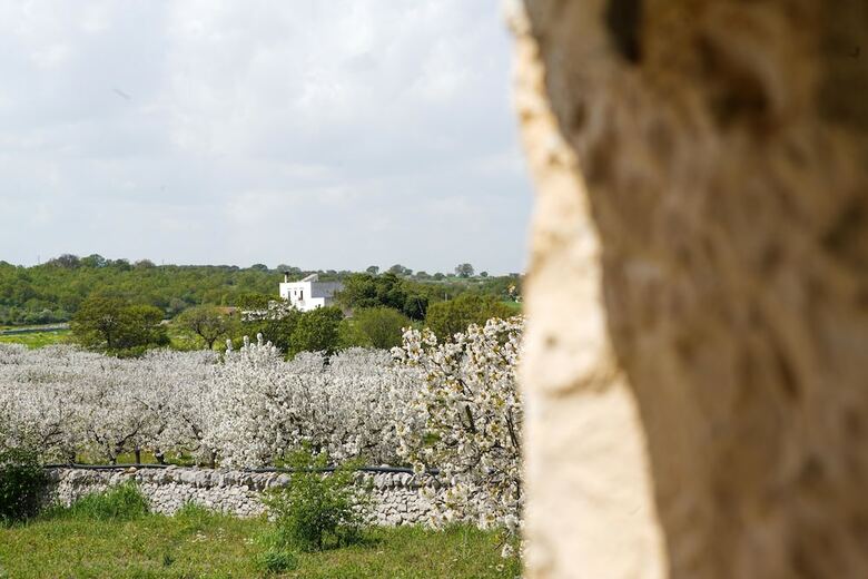 Apartamento Masseria Guadiano Vecchio