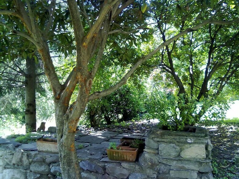 Casa Visnenza Bed & Breakfast