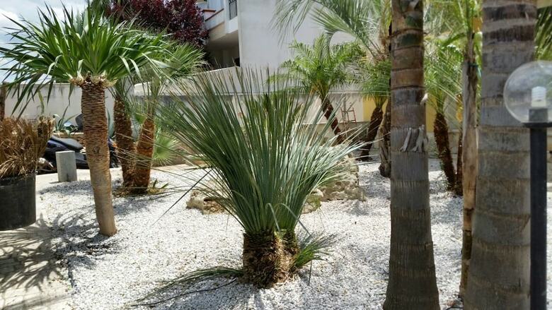 Bed & Breakfast Villa Belvedere Di Rita