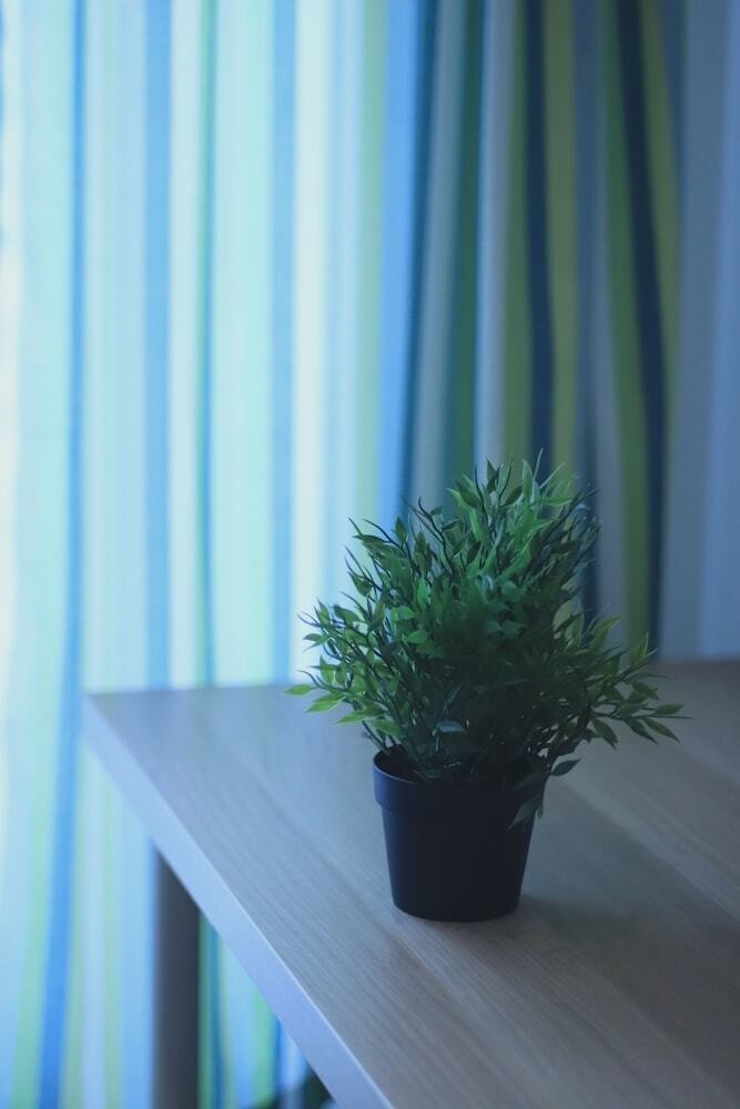 Apartamentos Avenue Premium
