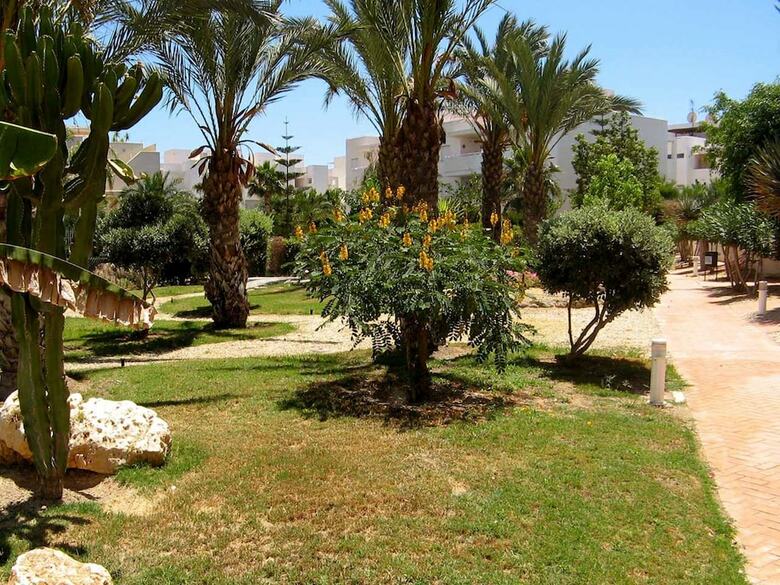 106449 - Apartment In Vera