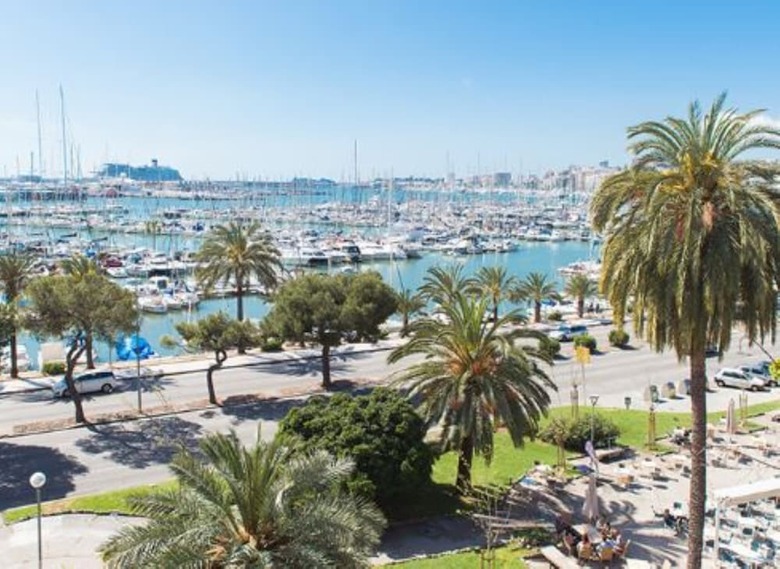104534 -  House In Palma De Mallorca