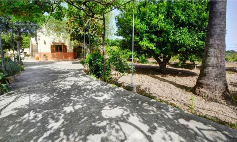 104904 -  Villa In Campanet