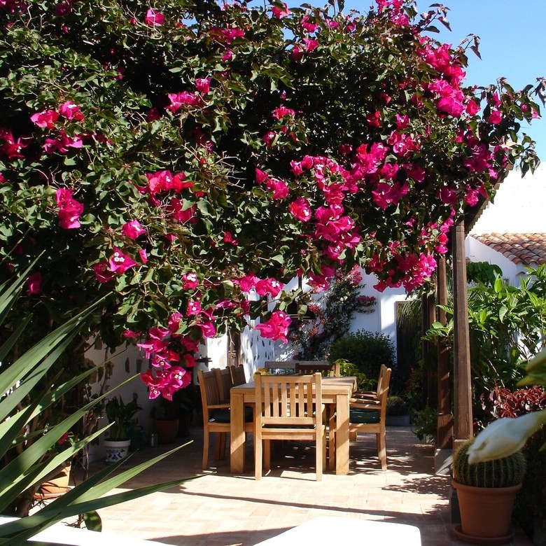 Apartamentos Casa Rural Palomar - Adults Only