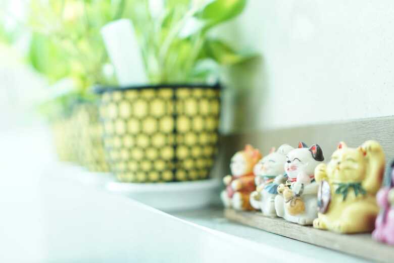 Hotel Stay Piko