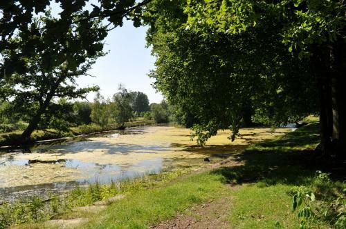 Hotel Restaurant Gro�e Teichsm�hle