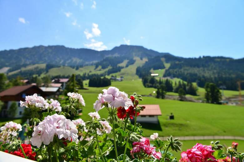 Hotel Zum Senn