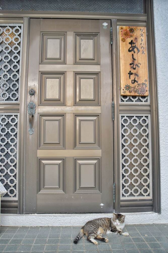 Hostal Guest House Asibina - Hostel