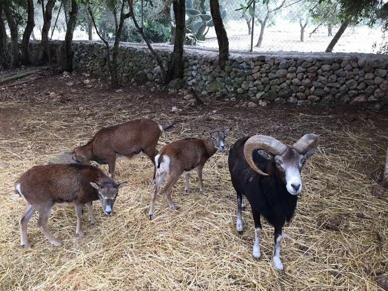 Agroturismo Tenuta Sant'antonio