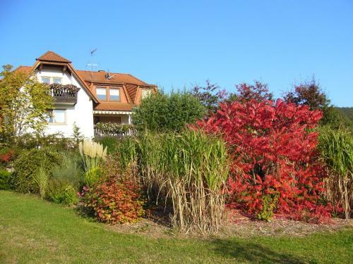 Apartamento Pension H�chemer