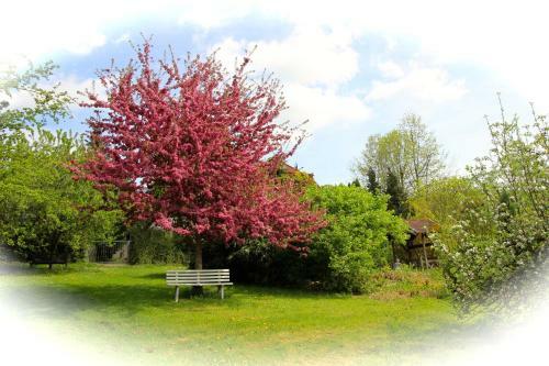 Apartamento Pension H�chemer